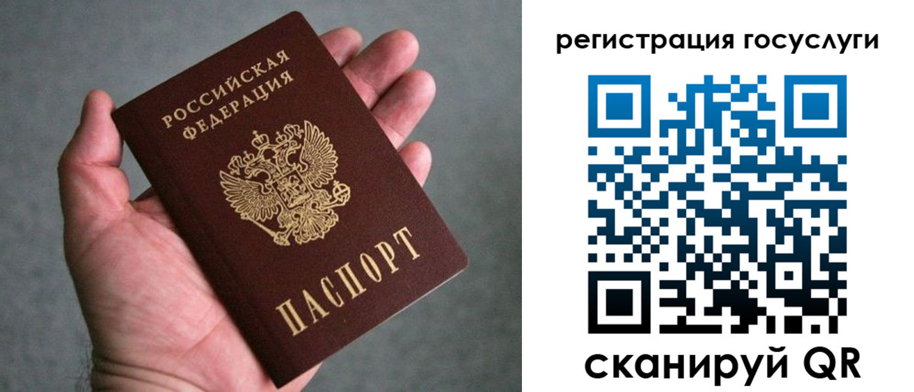 прописка поиск в Истре